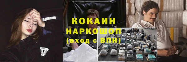 шишки Алексеевка