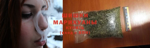 шишки Алексин