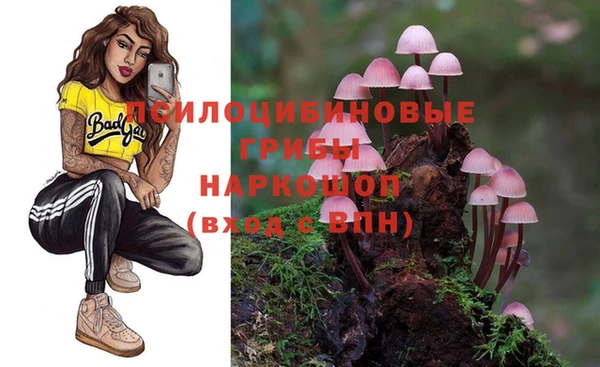 альфа пвп Новокубанск