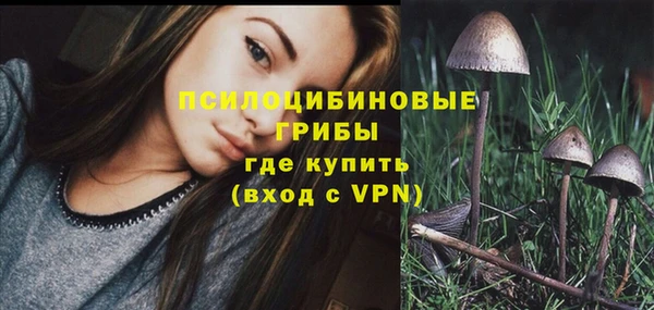 винт Алзамай