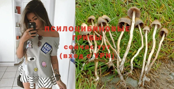 винт Алзамай
