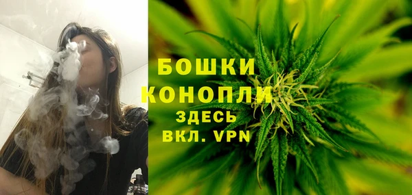 шишки Алексин