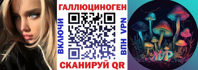 цена   Переславль-Залесский  Галлюциногенные грибы GOLDEN TEACHER 